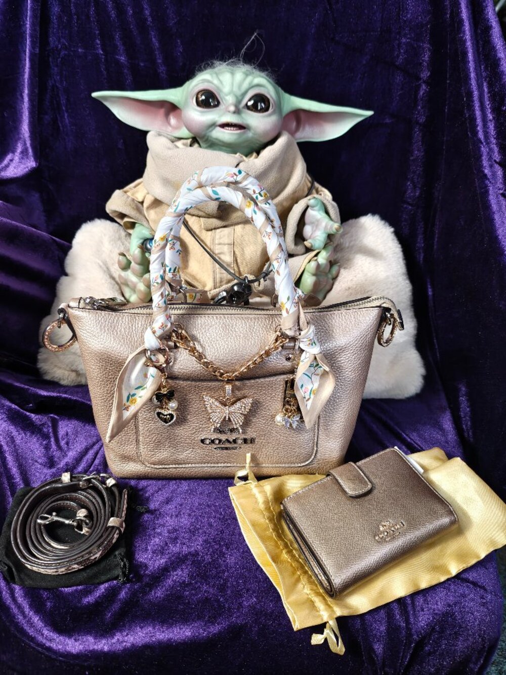COACH Mini Emma Gold Satchel W/Coach Wallet